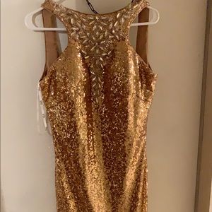 Mardi Gras or special occasion gown